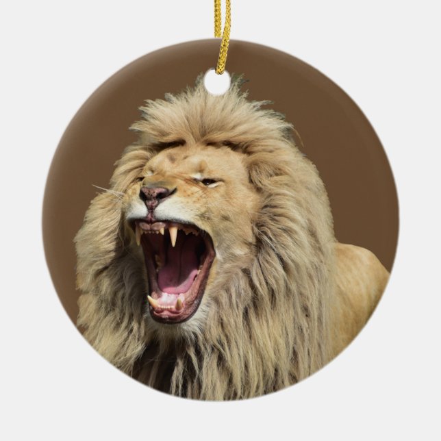 High Tension Lion Ceramic Tree Decoration (Front)