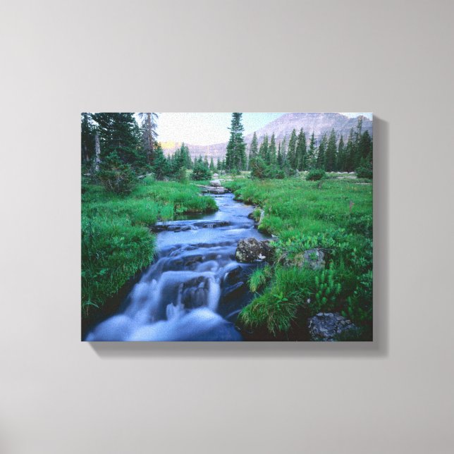 HIGH UINTAS WILDERNESS, UTAH. Stillwater Fork Canvas Print (Front)
