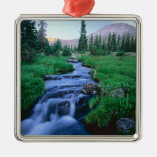 HIGH UINTAS WILDERNESS, UTAH. Stillwater Fork Metal Tree Decoration