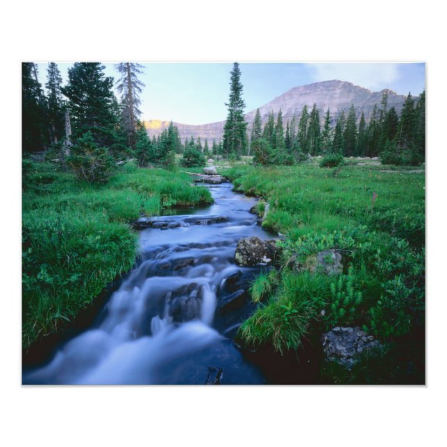 HIGH UINTAS WILDERNESS, UTAH. Stillwater Fork Photo Print (Front)