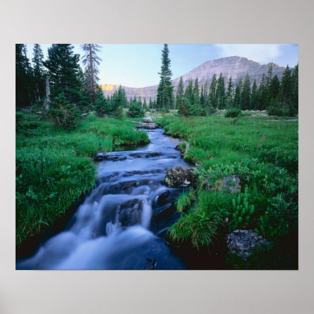 HIGH UINTAS WILDERNESS, UTAH. Stillwater Fork Poster (Front)