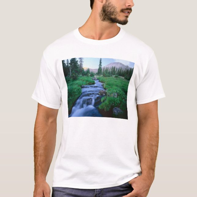 HIGH UINTAS WILDERNESS, UTAH. Stillwater Fork T-Shirt (Front)