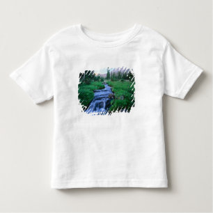 HIGH UINTAS WILDERNESS, UTAH. Stillwater Fork Toddler T-Shirt
