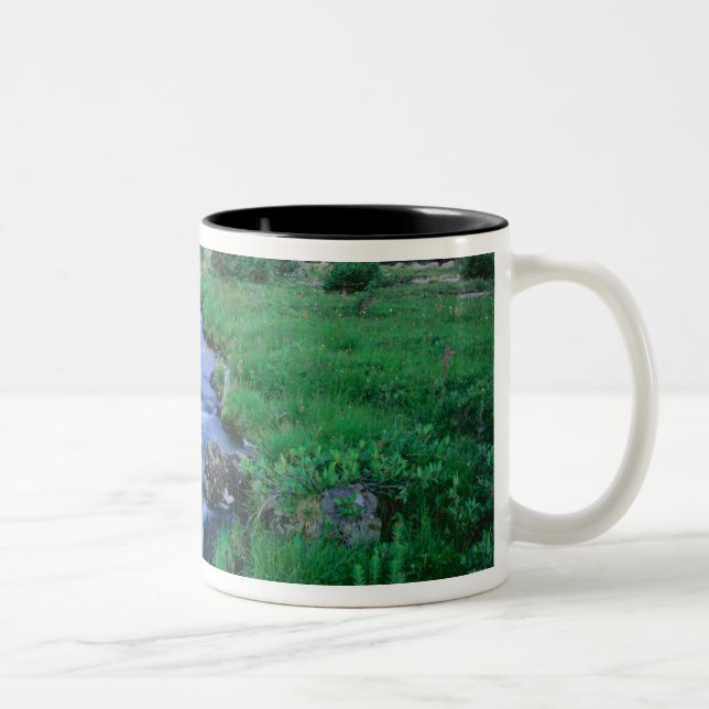 HIGH UINTAS WILDERNESS, UTAH. Stillwater Fork Two-Tone Coffee Mug (Right)