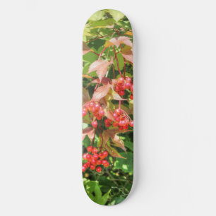 Highbush Cranberries Skateboard