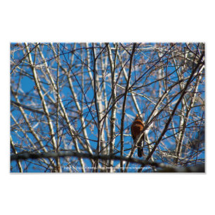Higher Up Photo Print