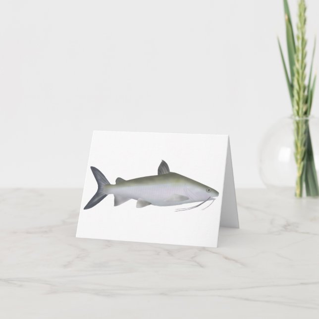 Highfin Catfish Note Card (Front)