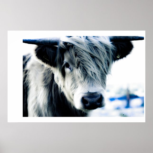 Highland Blue Poster (Front)