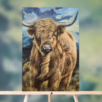 Highland Bull
