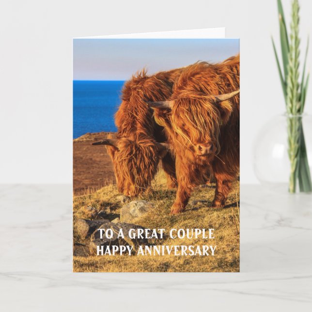 Highland Cattle Anniversary Card (Front)