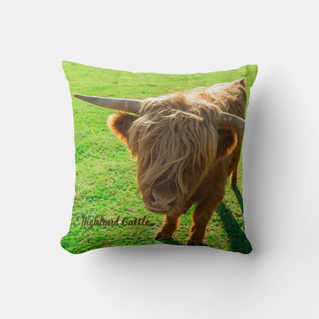 Highland cattle bovine for animal and farm lover cushion (Front)