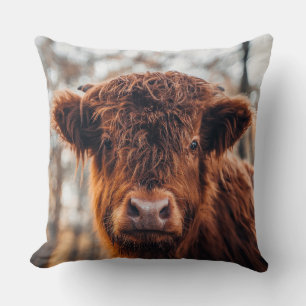 Highland Cattle Cushion