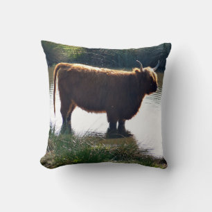 Highland Cattle Cushion