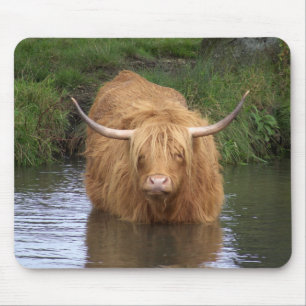 Highland Cattle Mouse Pad