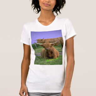 Highland-Cattle t-shirt