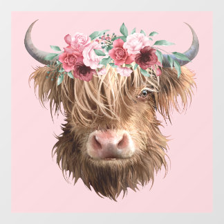 Highland Cow