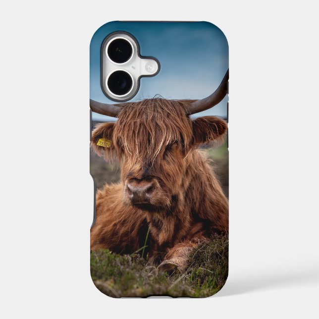 Highland Cow (Back)