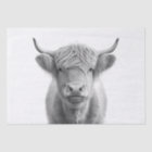 Highland Cow Adorable