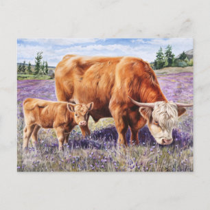 Highland Cow and Calf Purple Wildflowers Postcard