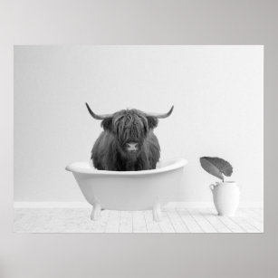 Highland Cow Bathtub Home Horizontal  Poster