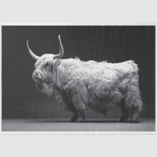Highland Cow Black and White Decoupage Tissue Paper
