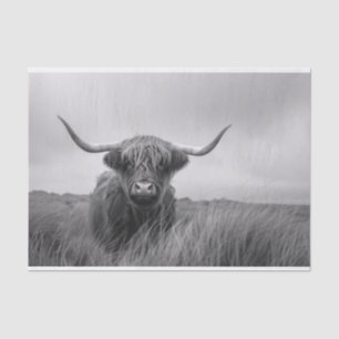 Highland Cow Black and White Decoupage Tissue Paper