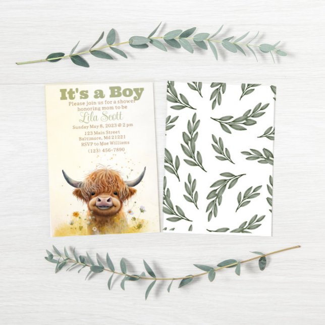 Highland cow, boy baby shower invitation  (Creator Uploaded)