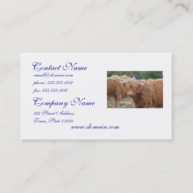 Highland Cow Business Card (Front)