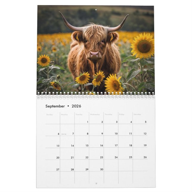 Highland Cow Calendar (Sep 2026)