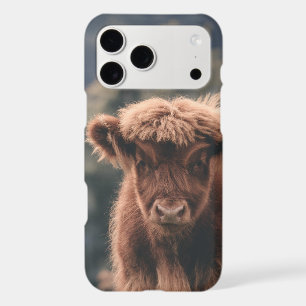 Highland cow calf autumn grass field