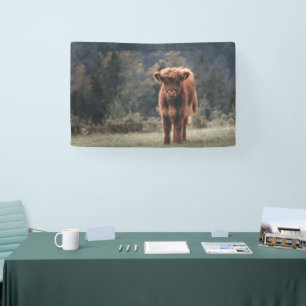 Highland cow calf autumn grass field banner