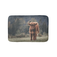 Highland cow calf autumn grass field