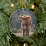 Highland cow calf autumn grass field ceramic tree decoration<br><div class="desc">Highland cow calf autumn grass field photograph. Stunning young calf of highland Scottish cattle on an autumn grassy field with muted colours. Beautiful dark hairy orange coat contrasting with light yellow green grass and trees in bokeh in background.</div>