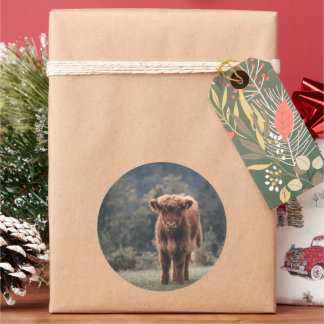 Highland cow calf autumn grass field classic round sticker