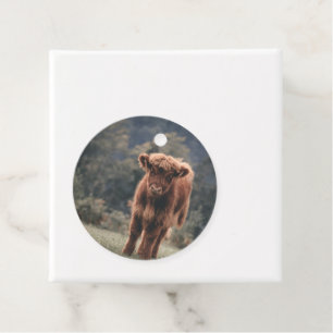 Highland cow calf autumn grass field favour tags
