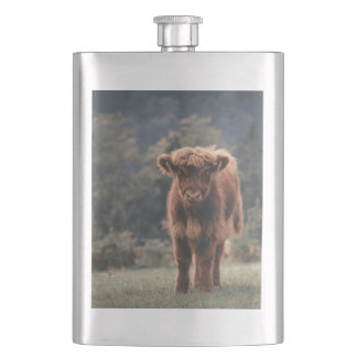 Highland cow calf autumn grass field hip flask