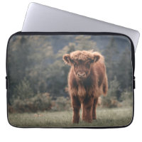 Highland cow calf autumn grass field