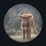 Highland cow calf autumn grass field magnet<br><div class="desc">Highland cow calf autumn grass field photograph. Stunning young calf of highland Scottish cattle on an autumn grassy field with muted colours. Beautiful dark hairy orange coat contrasting with light yellow green grass and trees in bokeh in background.</div>