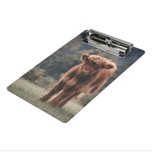 Highland cow calf autumn grass field mini clipboard