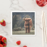 Highland cow calf autumn grass field