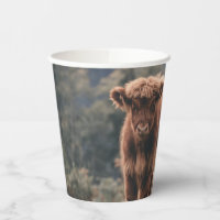 Highland cow calf autumn grass field