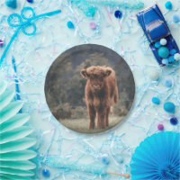 Highland cow calf autumn grass field