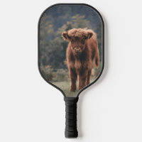 Highland cow calf autumn grass field