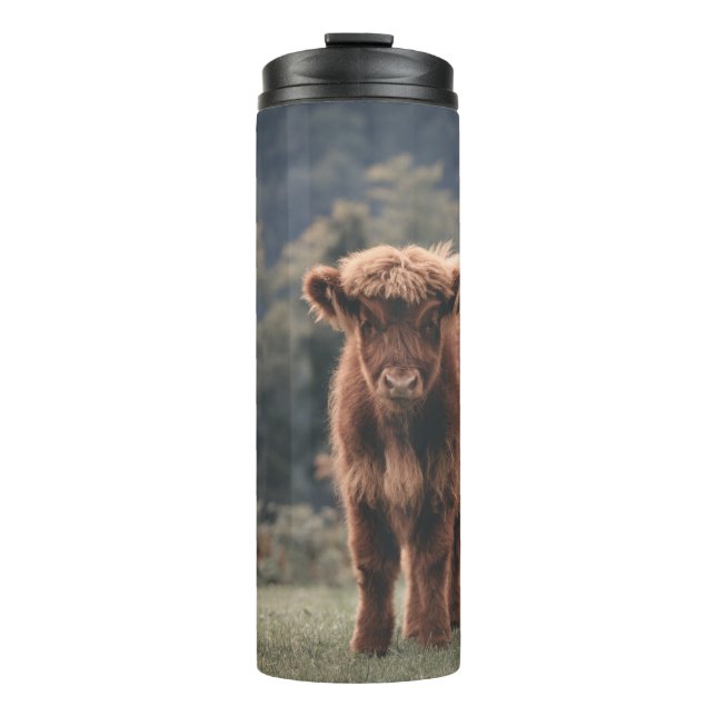Highland cow calf autumn grass field thermal tumbler (Front)