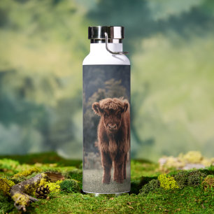 Highland cow calf autumn grass field water bottle
