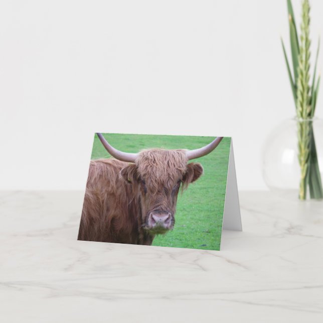 Highland Cow Card (Front)