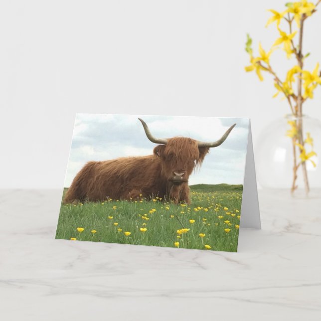 Highland Cow Card (Yellow Flower)