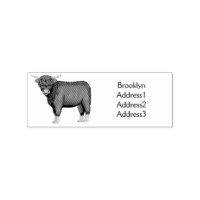 Highland cow cartoon illustration