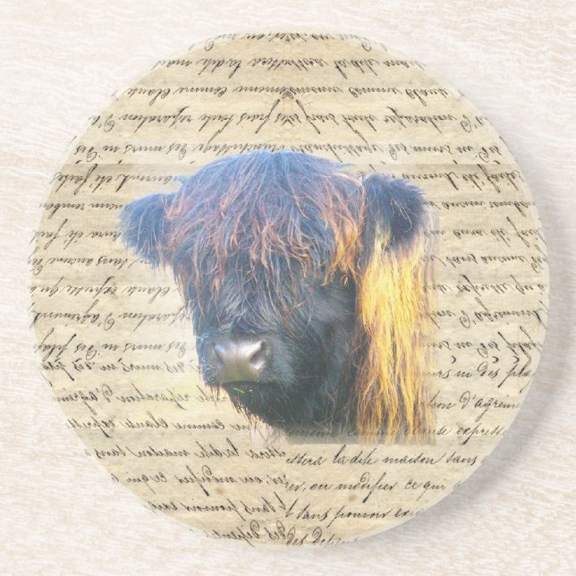Highland cow coaster (Front)