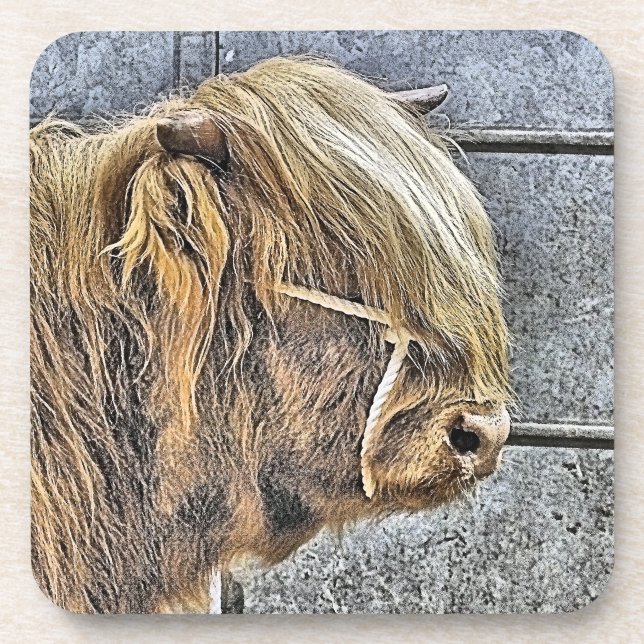 HIGHLAND COW COASTER (Front)